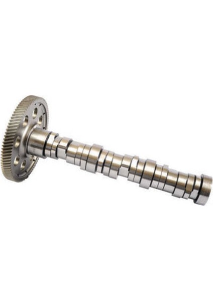 ESTAS Estaş 33162 Estas 33162 Eksantrik Mili Db Dişlisi 4570503601