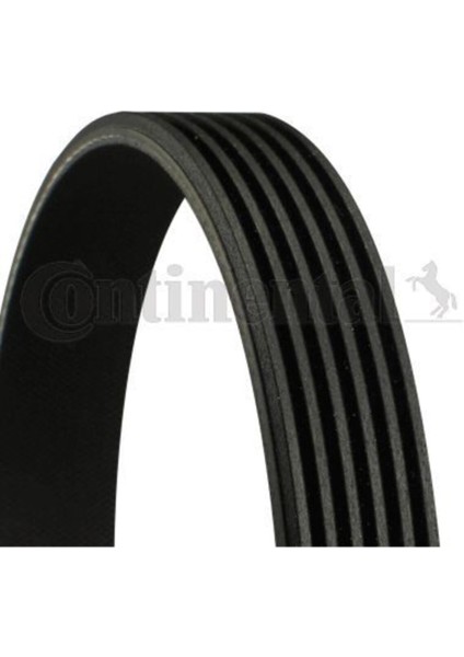 Contıtech 6PK720 6PK720 Kanallı Kayış Porsche 944 968
