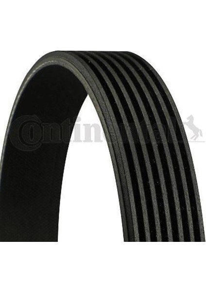 Contıtech 7PK1855 7PK1855 V Kayışı Bmw 1 Bmw 3 07-12