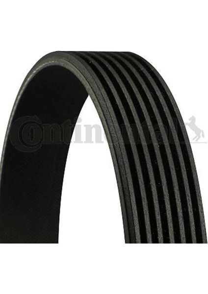 Contıtech 7PK1920 Kanallı V Kayısı ( Renault: Master Iı / Opel: Movano 3.0 03-) -7PK1920 Uyumlu