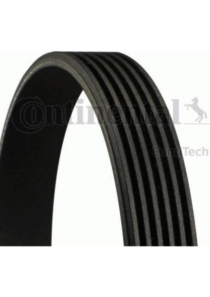 Contıtech 6PK970 V Kayısı Corolla 04> 1.4