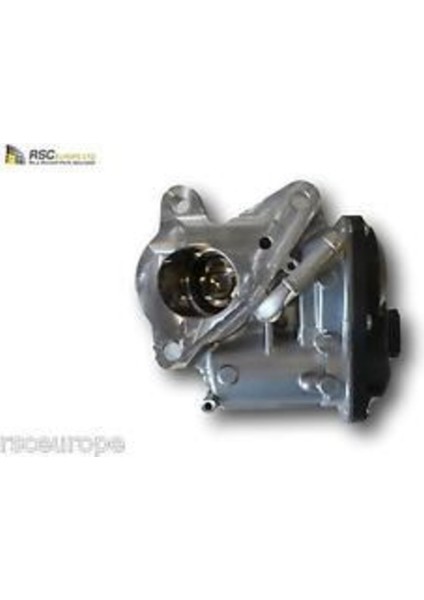 147103921R 147103921R Egr Valfi Master Iıı/ Movano Uyumlu