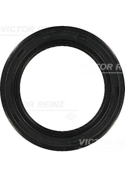 Reınz 81-34805-00 81-34805-0 Krank Keçesi Ön Antara / Captiva Z20DM