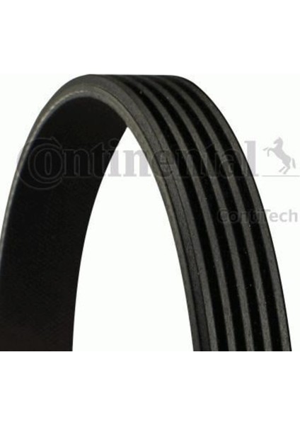 Contıtech 5PK800 5PK800 V Kayışı 306 / Berlingo