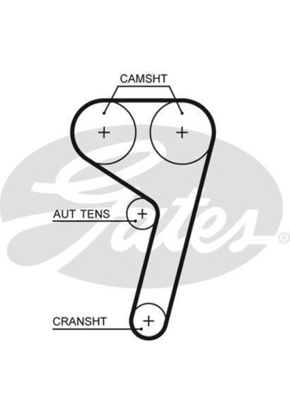 5669XS 5669XS Triger Eksantrik Kayışı 117×220 Ford Cmax 1.6 10- Focus 1.6 11- Mondeo 1.6 07- CT881