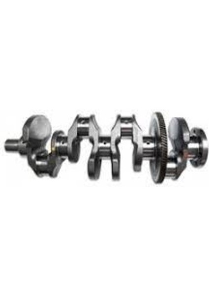 1023 1023 122014213R Krank Master Iıı Susuz Motor M9T 165BG