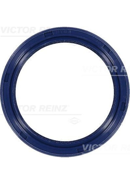 Reınz 81-53284-00 81-53284-0 Krank Keçesi Ön Clıo Iıı Megane Iıı Laguna Iıı Scenic Iıı 2.0 2.4 46X58X7