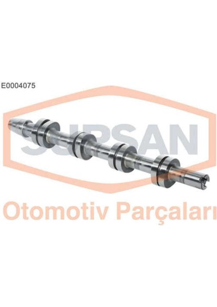 E0004075 E0004075 Eksantrik Mili Emme Golf V Jetta Iıı Passat 05- / A3 A4 A6 2.0 Tdı 16V