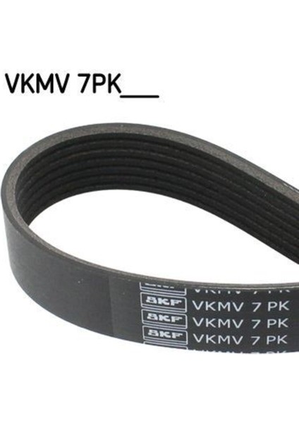 VKMV7PK1322 VKMV7PK1322 Kanallı Kayış Daily Iv V 11- 7PK1322
