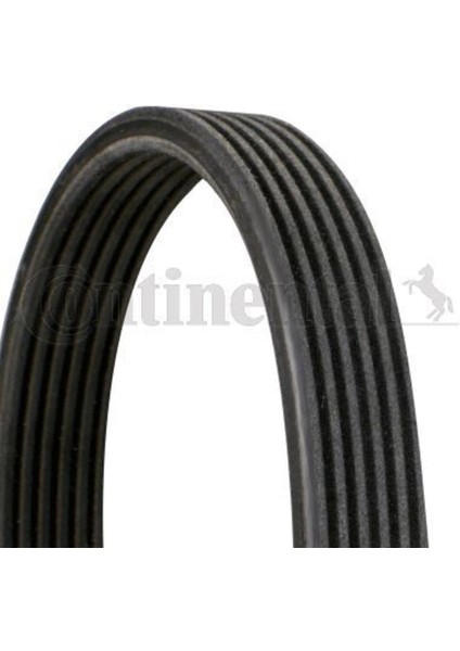 Contıtech 6DPK1320 6DPK1320 Kanallı Kayış Audi Ford Seat Bora Golf Transporter 2.3 2.8 3.2 20V 24V