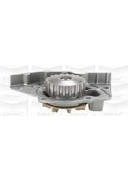 PA911 PA911 Devirdaim Su Pompası Scudo 96- / Expert / Jumpy 1.9d Xud9/a D70,5
