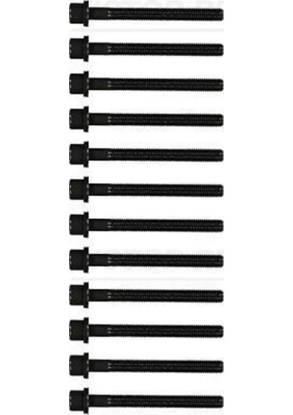 Reınz 14-32047-02 14-32047-2 Silindir Kapak Saplaması Civatası Crafter 2.5 Tdı