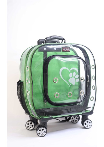 Prestige Model Şeffaf Kedi Köpek Taşıma Çantaları Küçük Yeşil