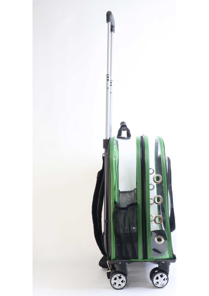 Prestige Model Şeffaf Kedi Köpek Taşıma Çantaları Küçük Yeşil fiyatları