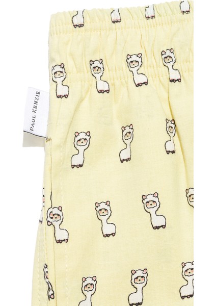 Desenli Erkek Ev Şort – Chill Space Collection – Lama