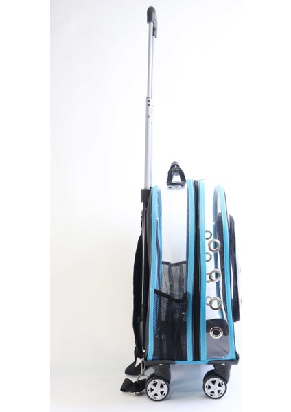 Prestige Model Şeffaf Kedi Köpek Taşıma Çantaları Küçük Turkuaz modelleri