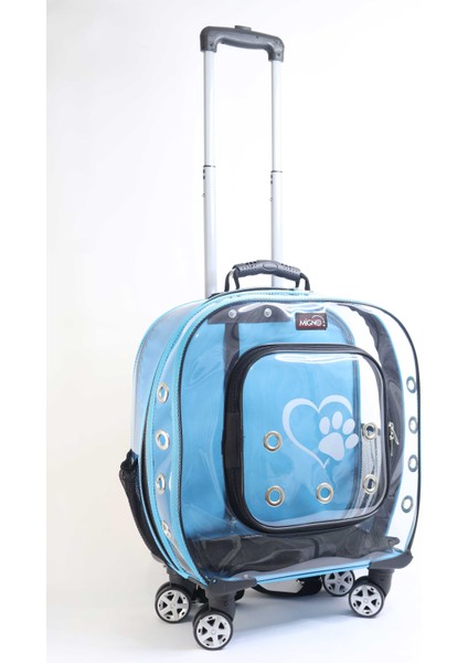 Prestige Model Şeffaf Kedi Köpek Taşıma Çantaları Küçük Turkuaz fırsatları