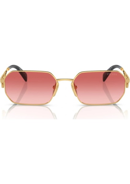 A51S 5AK40C 58-17 Kadın Güneş Gözlüğü fiyatları