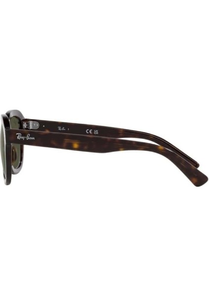 4398 902/31 53-21 Unisex Güneş Gözlüğü modelleri