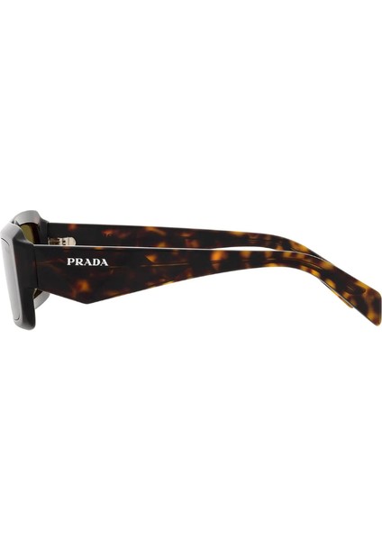 27ZS 19J09Z 54-21 Unisex Güneş Gözlüğü modelleri