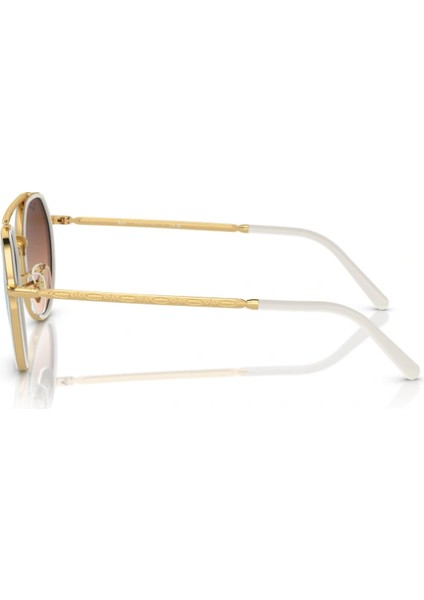 3765 001/4O 53-22 Unisex Güneş Gözlüğü modelleri