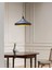 Mylights ıdır Metal Siyah Sarkıt Avize Modern Spor Avize 35CM Salon Mutfak Koridor Cafe Restorant Yatak Odası 1