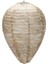 Bahçe Için 4pcs Yem Asmak Eşek Arısı Yuvası Kağıt Eşekarısı Yuvası (Yurt Dışından) 3