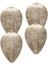 Bahçe Için 4pcs Yem Asmak Eşek Arısı Yuvası Kağıt Eşekarısı Yuvası (Yurt Dışından) 5