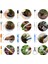 12 Parça Bonsai Alet Seti Etli Mini Bahçe El Aletleri Budama Makası, Mini Tırmık, Katlanır Makas, Bahçe Işleri Içerir (Yurt Dışından) 4
