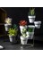 Bonsai Standı-3 x Saksı 1 x Saksı Tutucu-Beyaz (Yurt Dışından) 2