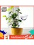 Helloworld Bitki Sulama Cihazı Mini Sevimli Kuş Şekli Şeffaf Cam Çiçek Suluk (Yurt Dışından) 5