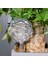 Su Houseplant Saksı Gül Çiçek Otomatik Sulama Cihazı Bahçe Aletleri Podazz (Yurt Dışından) 1