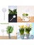 Su Houseplant Saksı Gül Çiçek Otomatik Sulama Cihazı Bahçe Aletleri Podazz (Yurt Dışından) 3