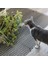 13X49CM Bahçe Dikenli Şerit Kazma Anti-Kedi Köpek Açık Bahçe Malzemeleri (Yurt Dışından) 2