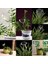 Su Houseplant Bitki Saksı Baykuş Otomatik Sulama Cihazı Bahçe Aletleri Podazz (Yurt Dışından) 4