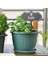 Bonsai Etiketi Moda Etiketi Bonsai Etiketi Çiftlik Evi Yeşil Bitki Marker (Yurt Dışından) 1