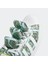 Jeremy Scott Money Prınt Superstar 5
