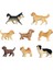8 Adet Köpek Figürleri Oyuncak Seti, Gerçekçi Detaylı Plastik Köpek Figürleri Hayvanlar Oyuncak Playset Okul Projesi Çocuklar Için Yeni Yürümeye Başlayan Çocuklar (Yurt Dışından) 1