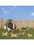 8 Adet Köpek Figürleri Oyuncak Seti, Gerçekçi Detaylı Plastik Köpek Figürleri Hayvanlar Oyuncak Playset Okul Projesi Çocuklar Için Yeni Yürümeye Başlayan Çocuklar (Yurt Dışından) 4