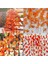 24 Tellerinin Güz Akçaağaç Yaprakları Sonbahar Ivy Garland Yapay Akçaağaç Sarmaşıklar Çelenk Sgiving, Noel, Ev Dekorları (Yurt Dışından) 3