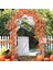 24 Tellerinin Güz Akçaağaç Yaprakları Sonbahar Ivy Garland Yapay Akçaağaç Sarmaşıklar Çelenk Sgiving, Noel, Ev Dekorları (Yurt Dışından) 5