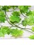 36 Adet 7.5ft Yapay Akçaağaç Yaprakları Asılı Sarmaşıklar, Bahçe Düğün Süslemeleri Için Sahte Ivy Garland Asılı Bitkiler (Yurt Dışından) 5