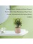 3 Paket Küçük Saksı Yapay Plastik Bitkiler, Mini Sahte Biberiye Bitki Ev Dekor Için Sahte Çiçek Houseplants Kapalı (Yurt Dışından) 3