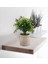 3 Paket Küçük Saksı Yapay Plastik Bitkiler, Mini Sahte Biberiye Bitki Ev Dekor Için Sahte Çiçek Houseplants Kapalı (Yurt Dışından) 4