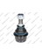 689 689 Rotil Alt (Mercedes : W211 02-09) 1