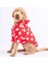 Kırmızı Teddy Peluşlu Su Itici Orta-Büyük Irk Köpek Yağmurluğu 1