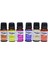 Fresh Assorted Fragrance Oil 24'lü Set 4