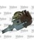 242039 Dıstrıbütör R12 Komple Uyumlu 1