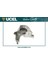 10781 10781 Motor Takozu Ön Sağ Logan Sandero Duster 1.5 Dcı 1