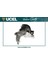 10784 10784 Motor Takozu Clıo Iv / Logan Iı Sandero Iı Duster 4×2 Lodgy 1.5dcı 1